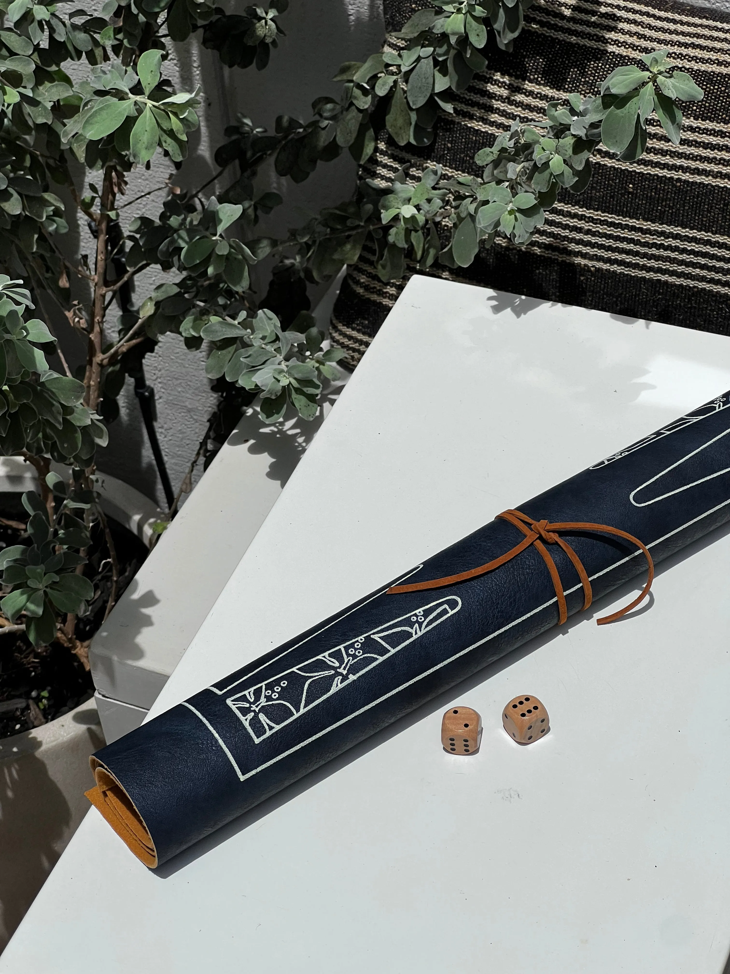 Backgammon set
