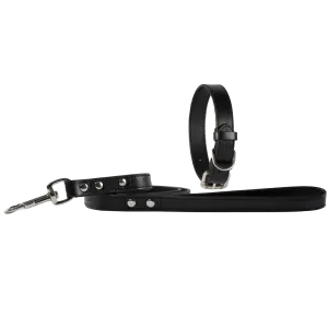 Baker & Bray Sustainable Leather Dog Collar & Lead Set | Black