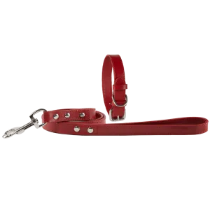 Baker & Bray Sustainable Leather Dog Collar & Lead Set | Rose