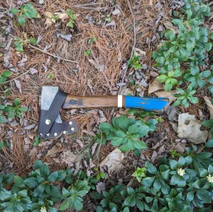 Camp Axe - Old Henry Viper Blue Edition