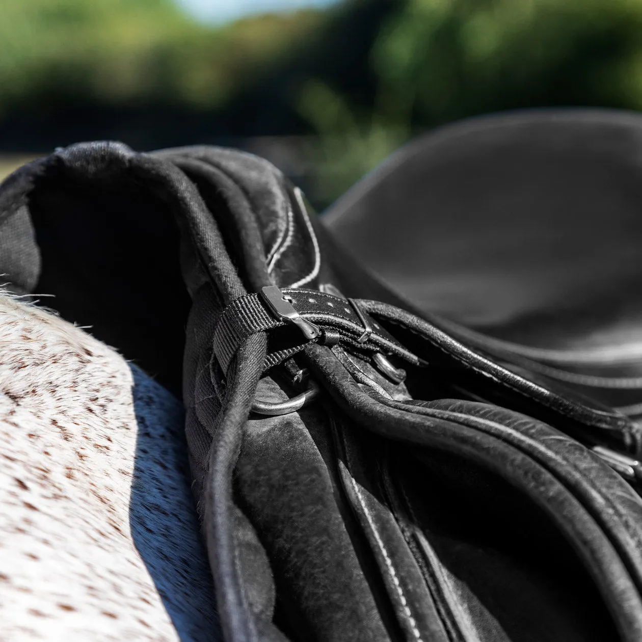 D-RING FASTENING STRAPS