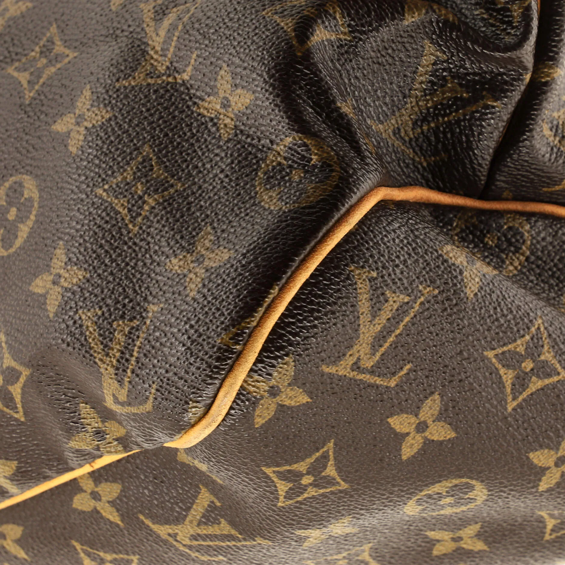 Designer Delightful Handbag Monogram Canvas MM