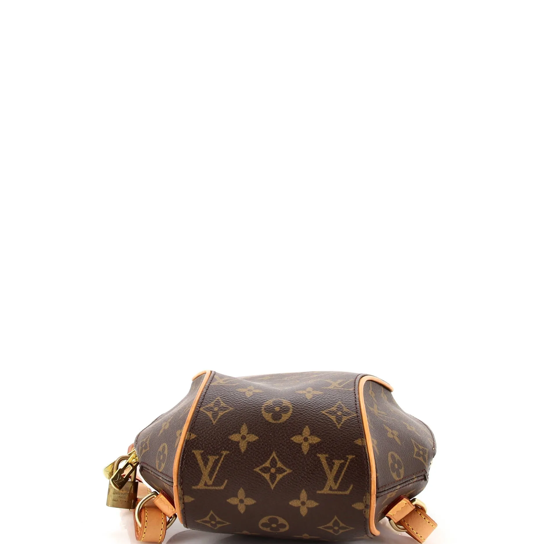 Designer Ellipse Backpack Monogram Canvas