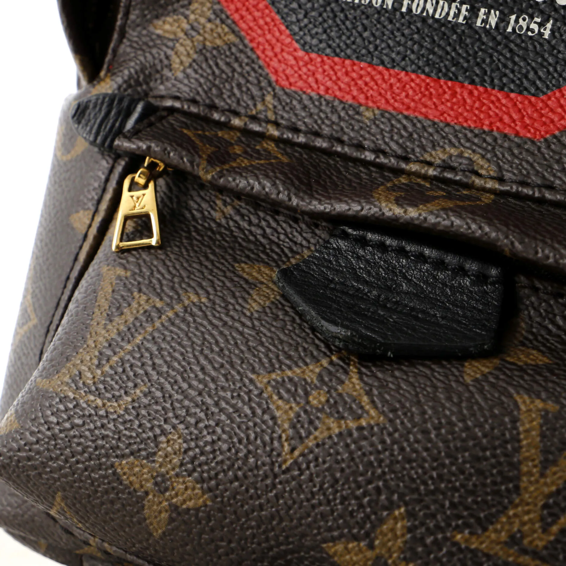 Designer Palm Springs Backpack Limited Edition World Tour Monogram Canvas Mini