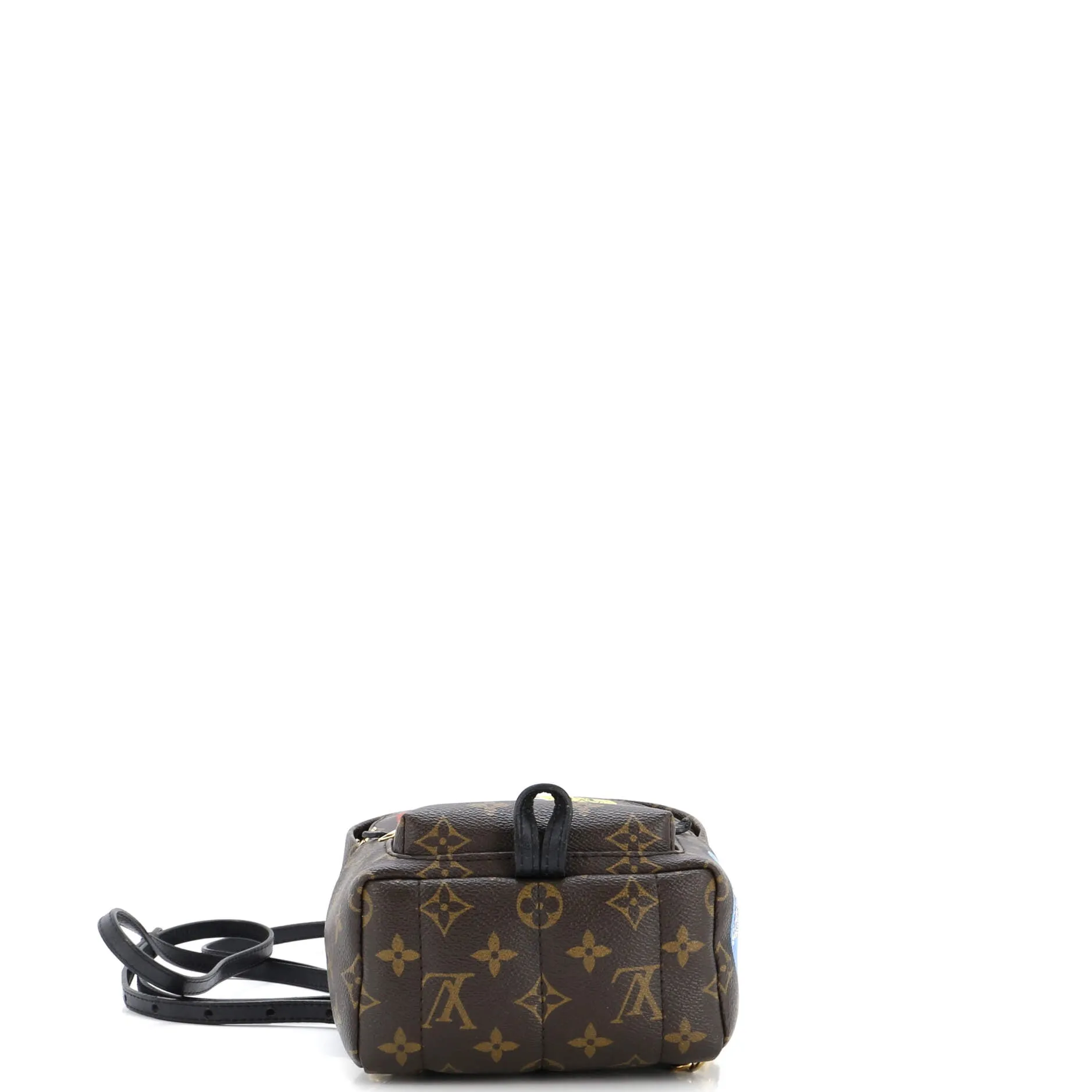 Designer Palm Springs Backpack Limited Edition World Tour Monogram Canvas Mini