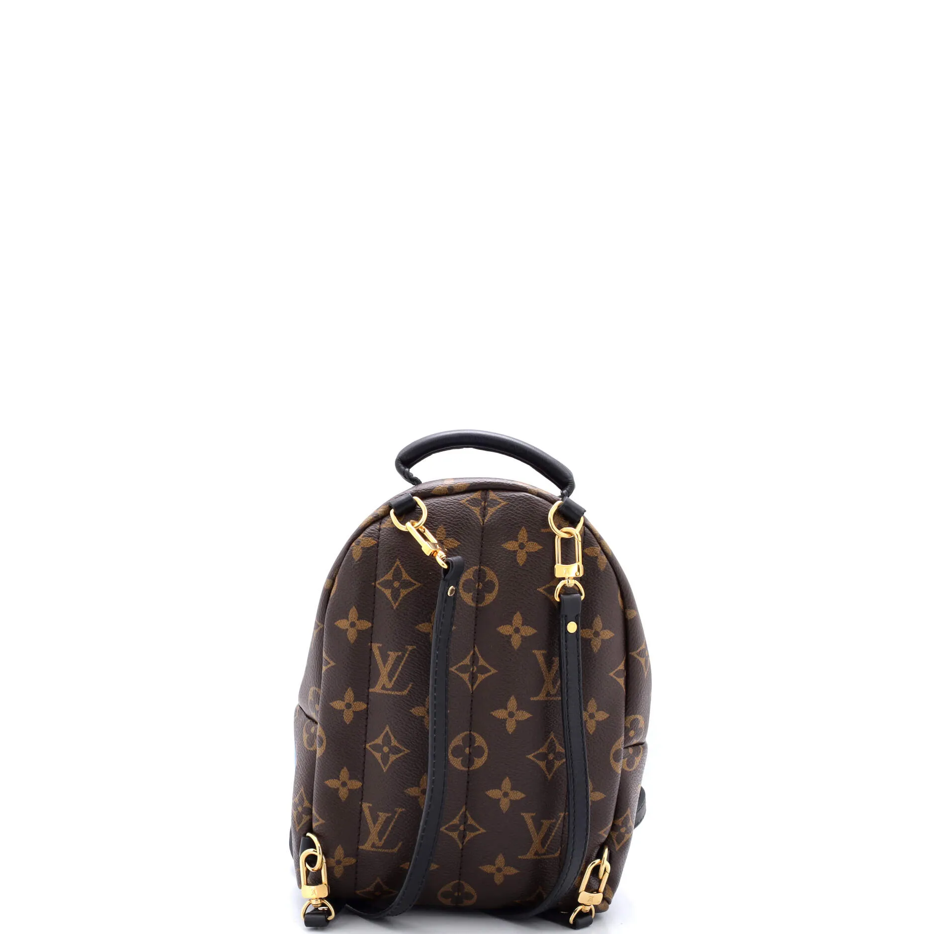 Designer Palm Springs Backpack Limited Edition World Tour Monogram Canvas Mini