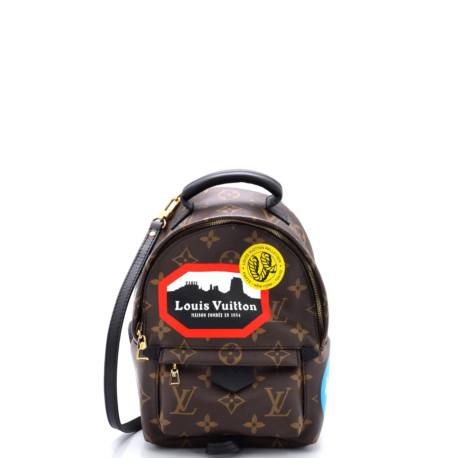 Designer Palm Springs Backpack Limited Edition World Tour Monogram Canvas Mini