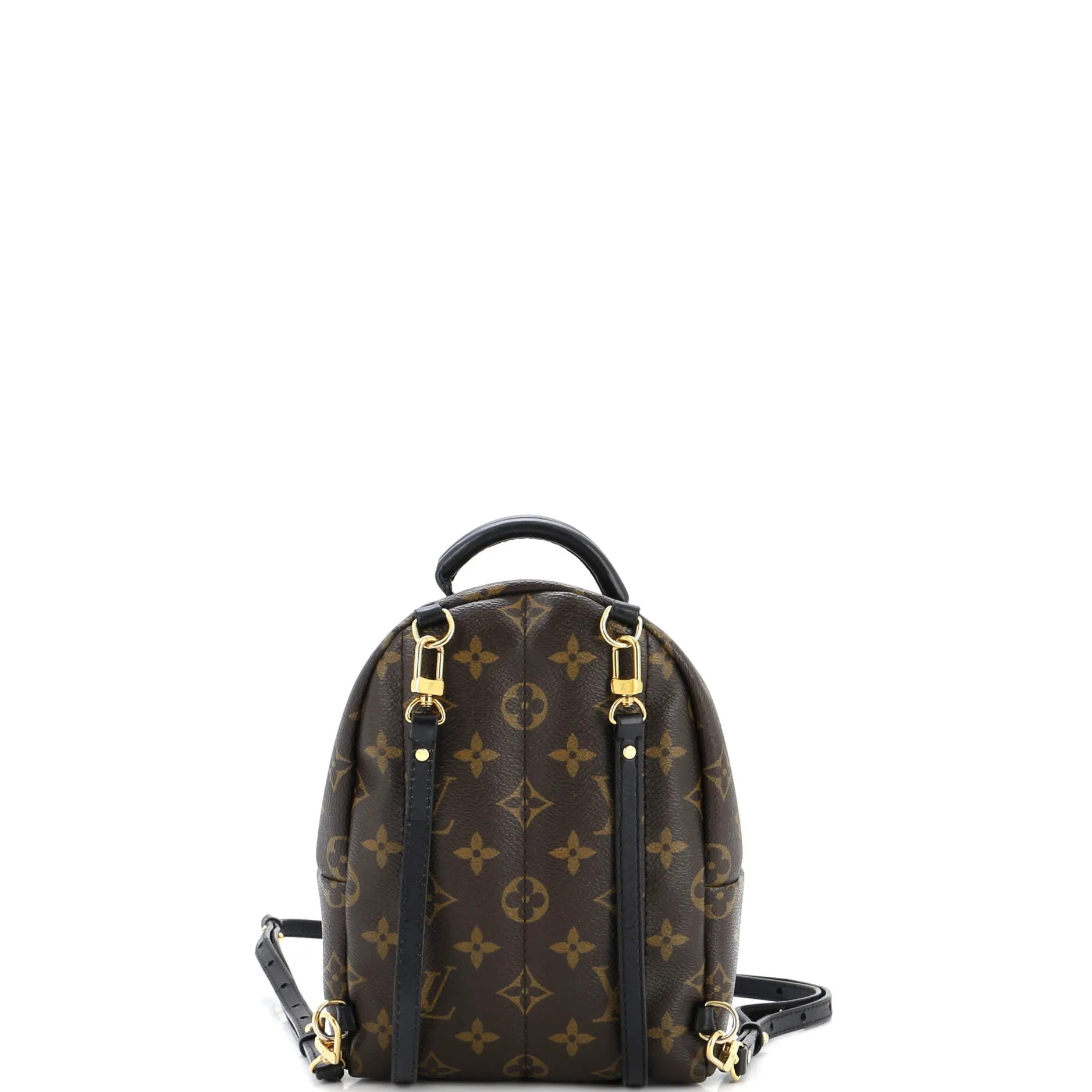 Designer Palm Springs Backpack Limited Edition World Tour Monogram Canvas Mini