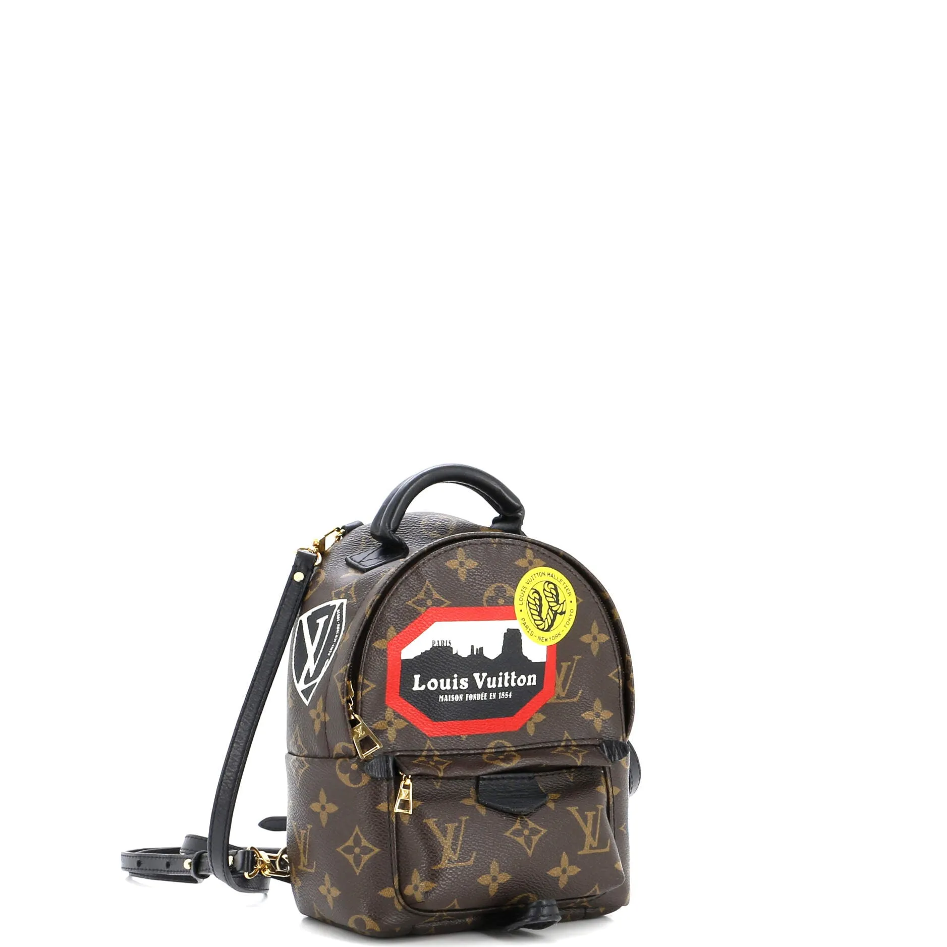 Designer Palm Springs Backpack Limited Edition World Tour Monogram Canvas Mini