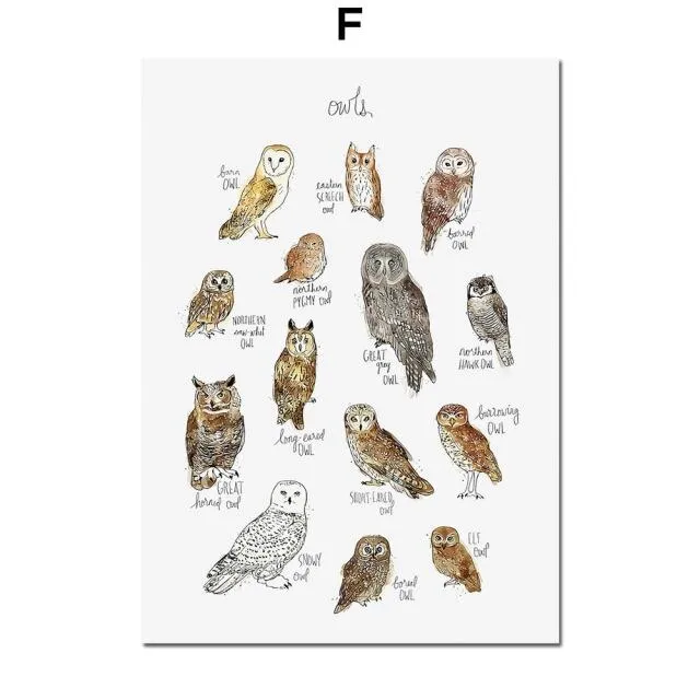 Dinosaur Lion Fox Deer Animal Wall Art