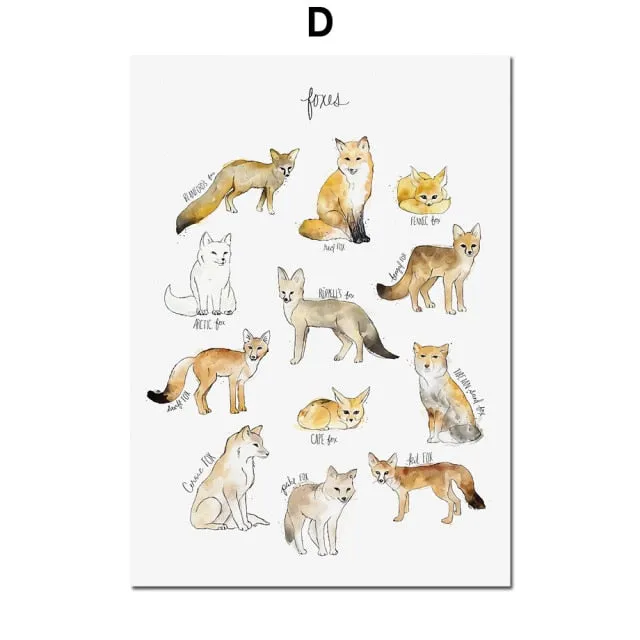 Dinosaur Lion Fox Deer Animal Wall Art