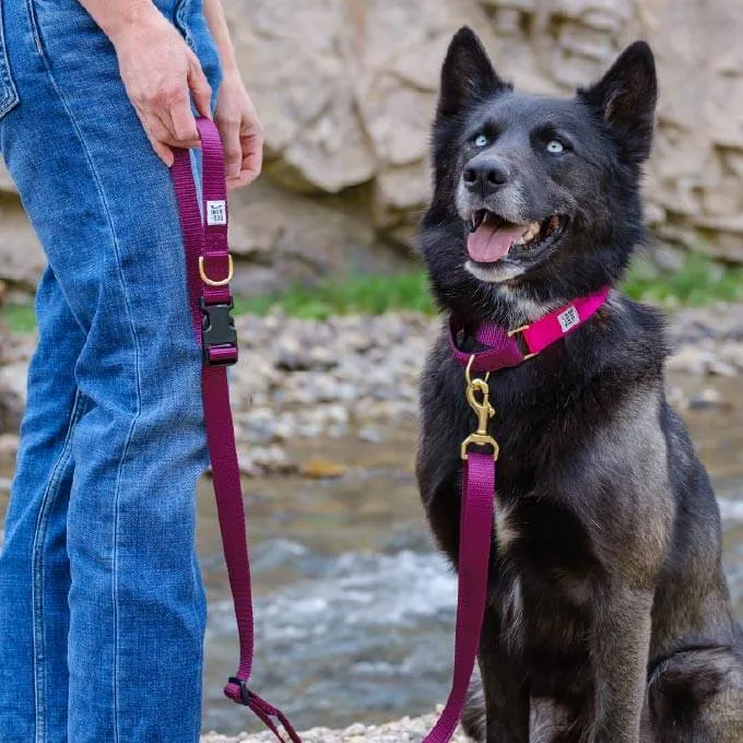 Dog   Bone Multi-way Adjustable Leash | Purple