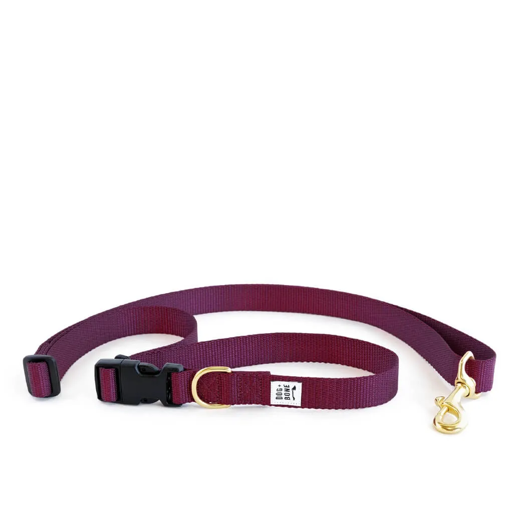 Dog   Bone Multi-way Adjustable Leash | Purple