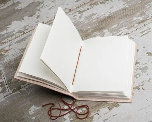 Gemini Zodiac Handmade Leather Journal