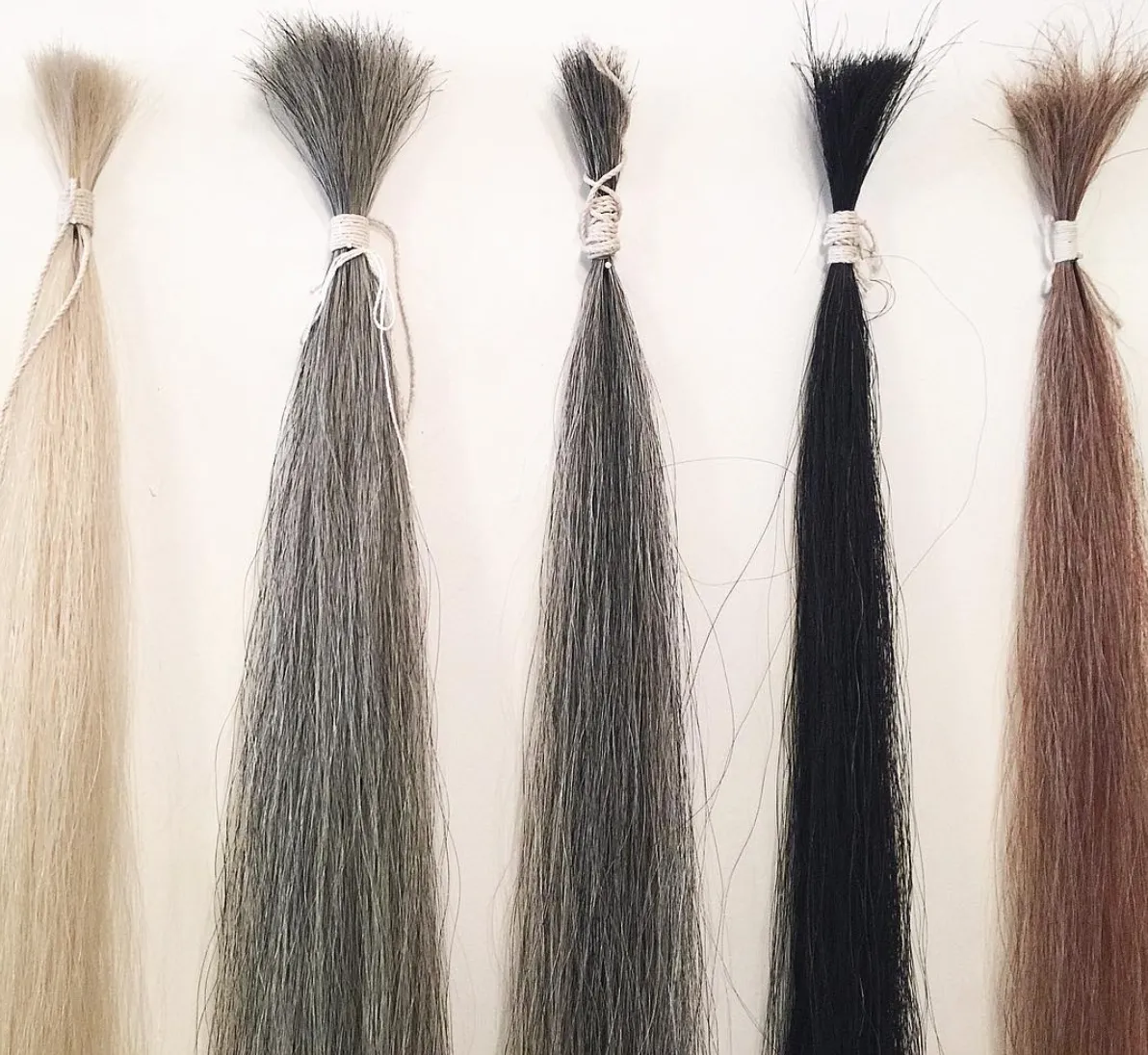 Horse Hair Whip