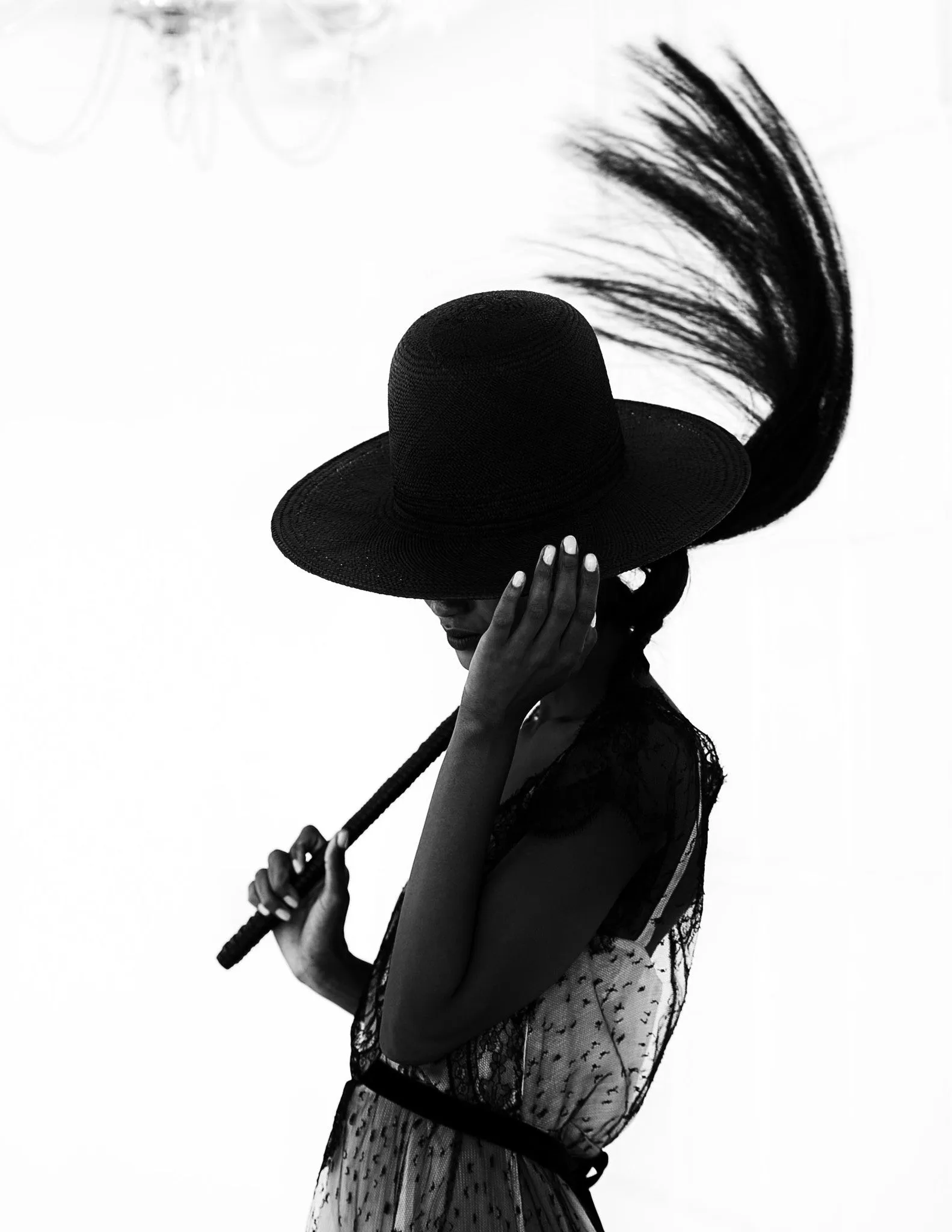 Horse Hair Whip