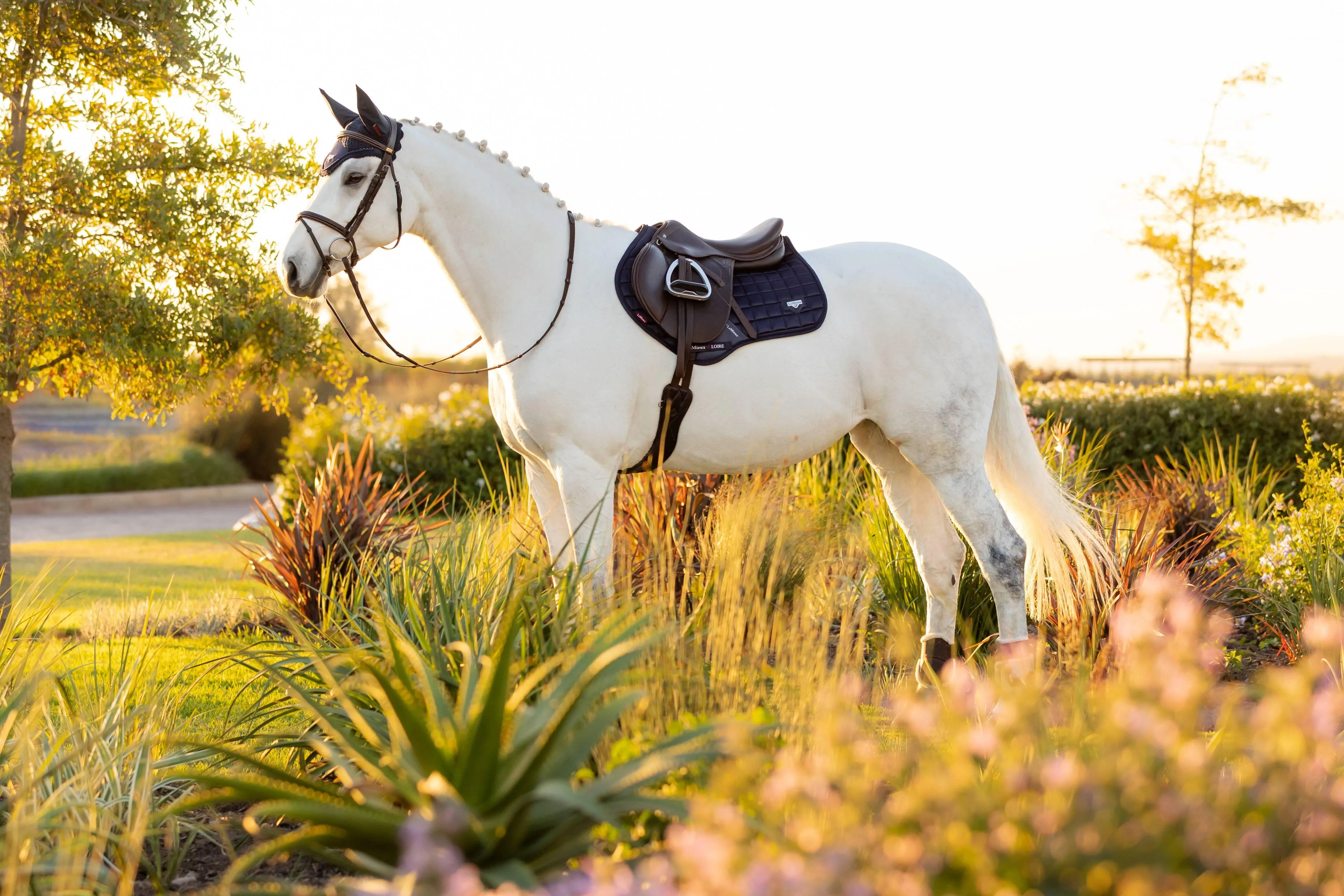 LeMieux Loire Classic Close Contact Saddle Pad