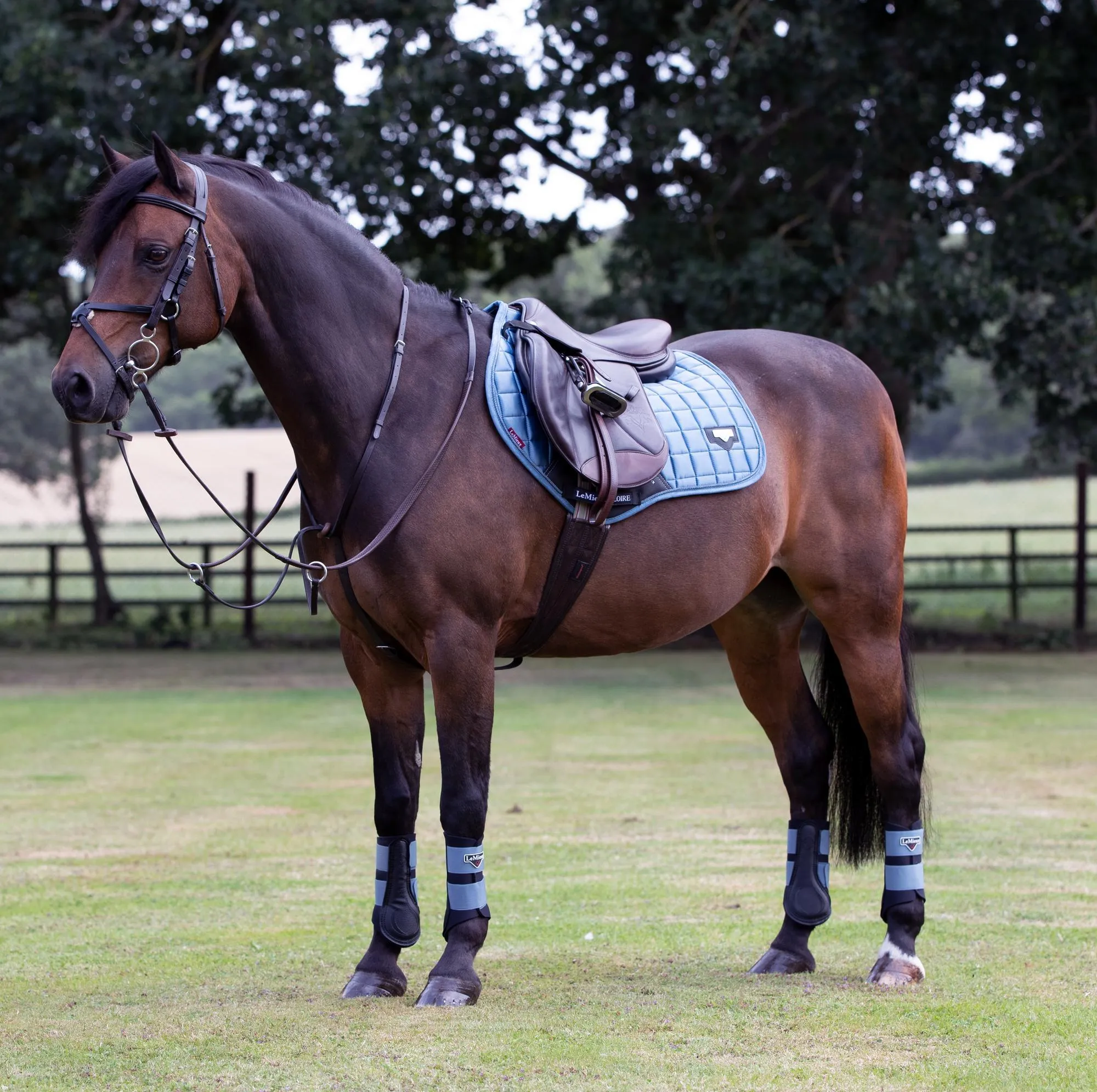 LeMieux Loire Classic Close Contact Saddle Pad