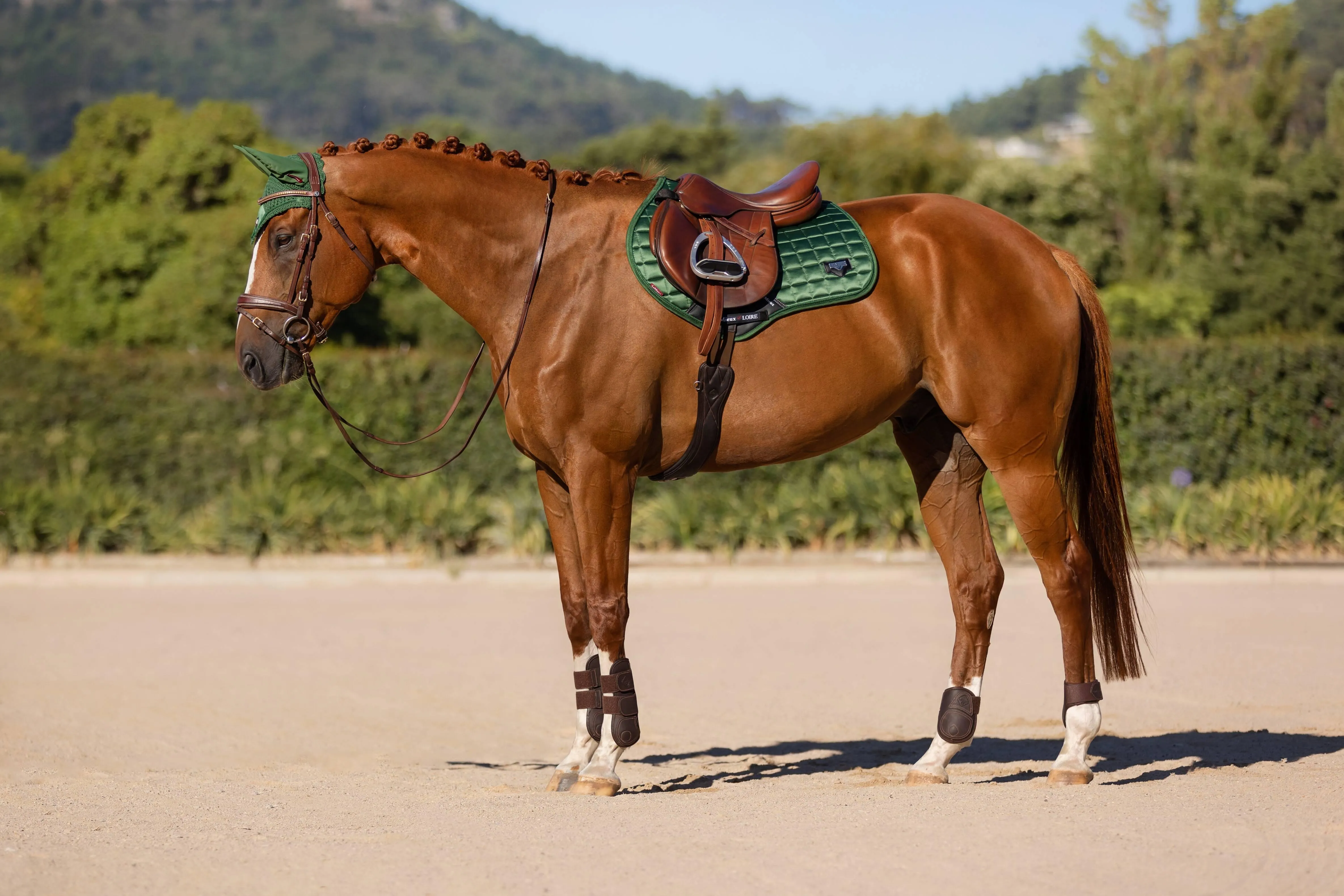 LeMieux Loire Classic Close Contact Saddle Pad