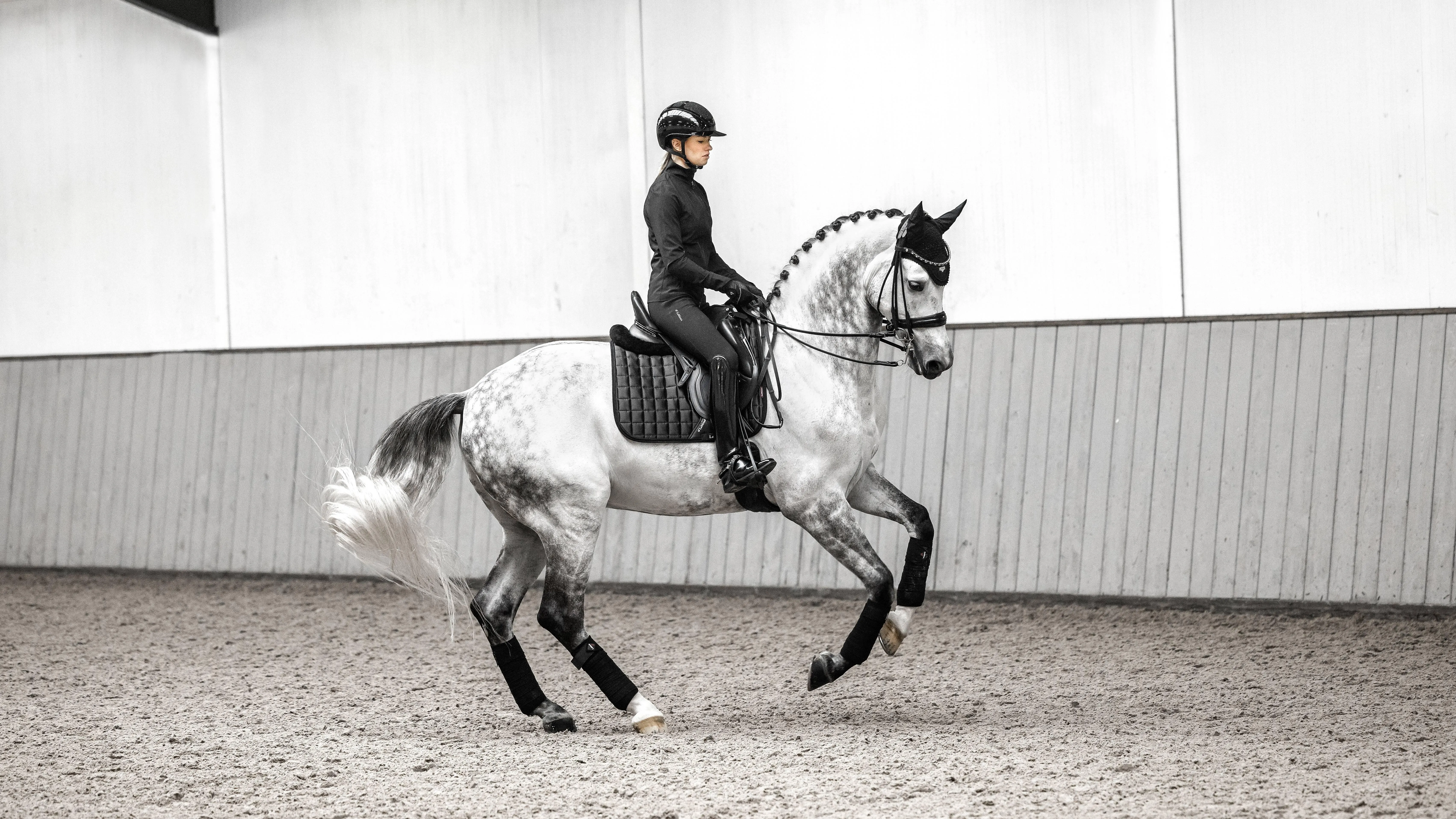 LeMieux Loire Classic Dressage Saddle Pad