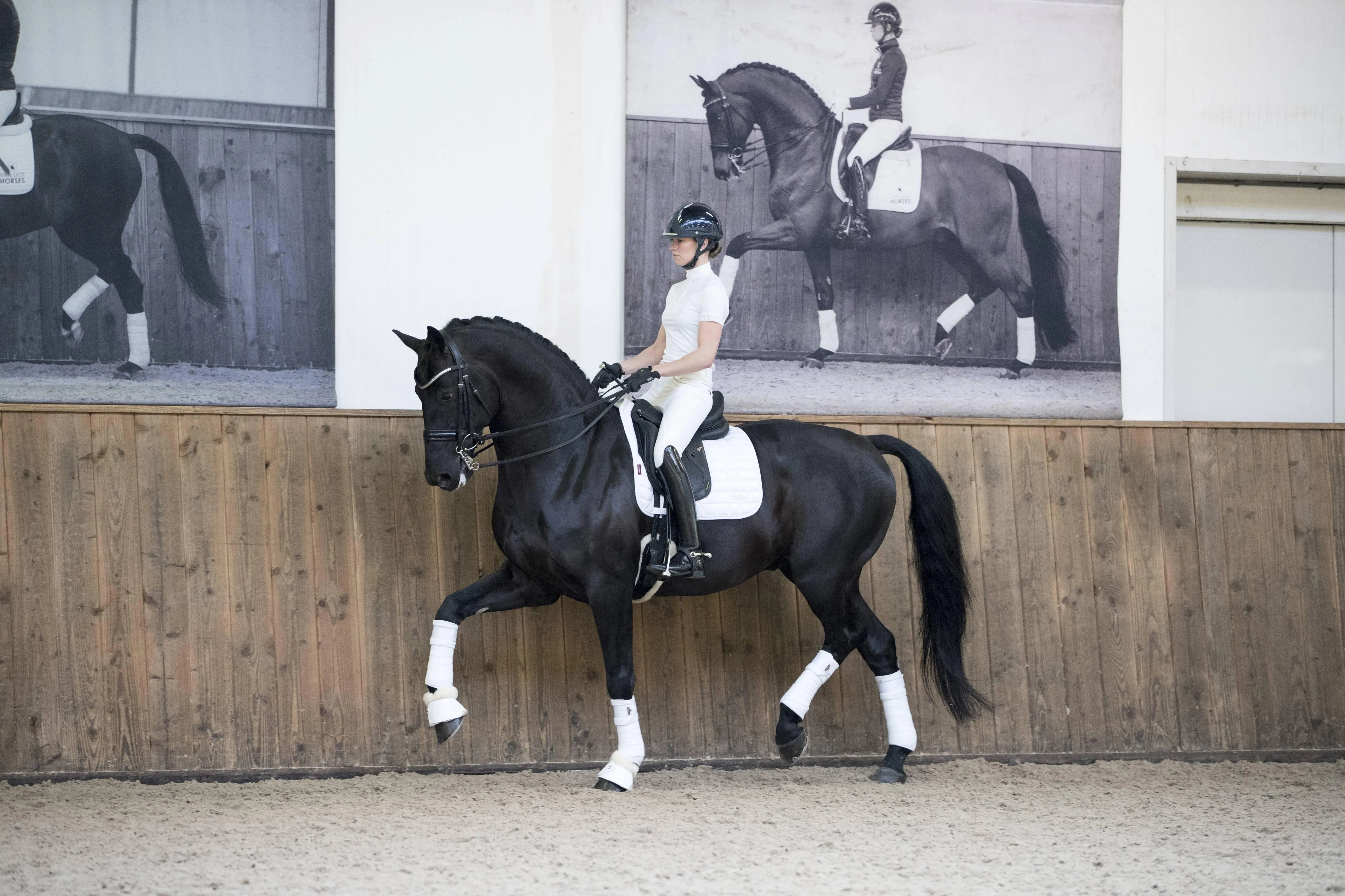 LeMieux Loire Classic Dressage Saddle Pad