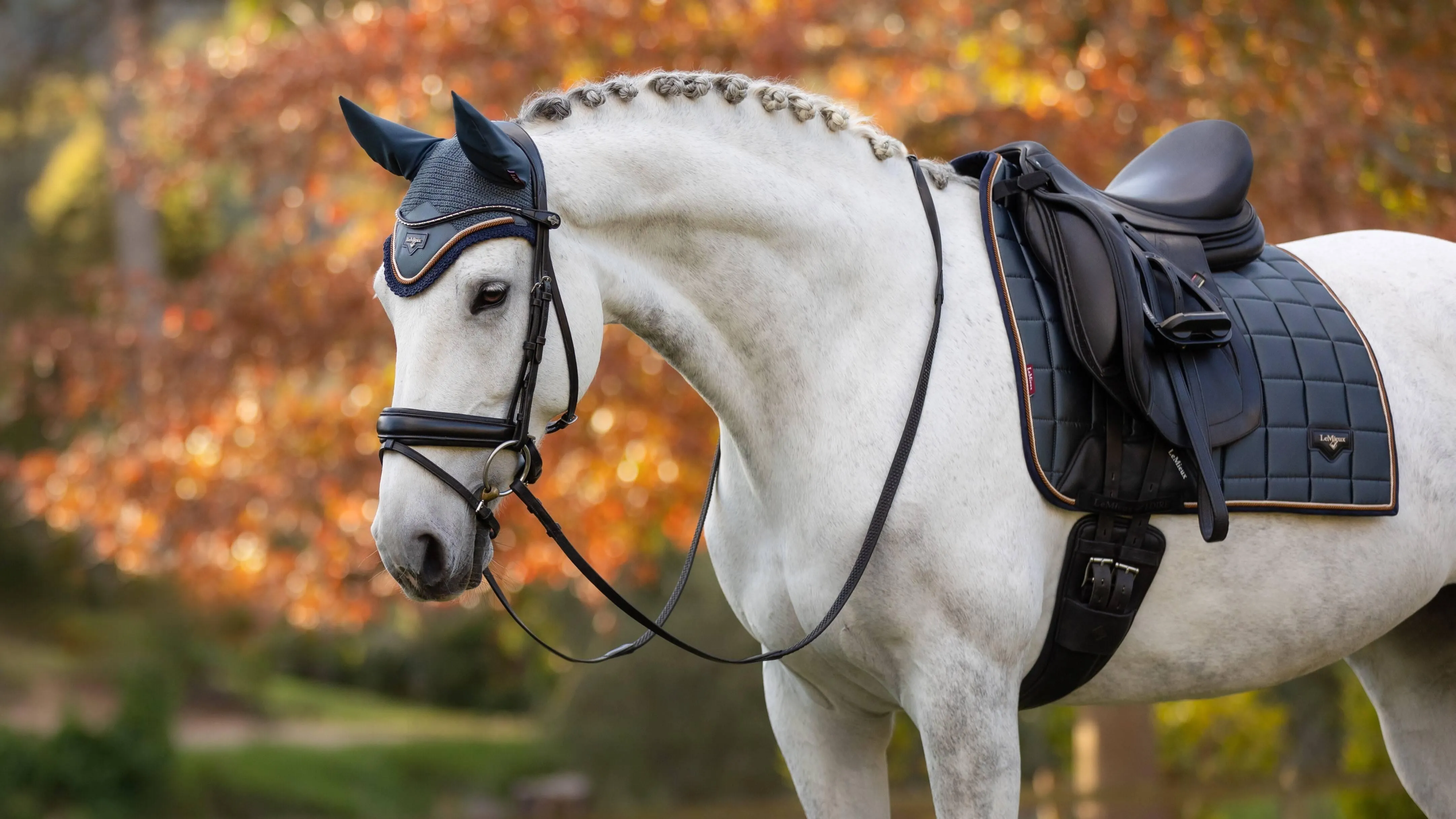 LeMieux Loire Classic Dressage Saddle Pad