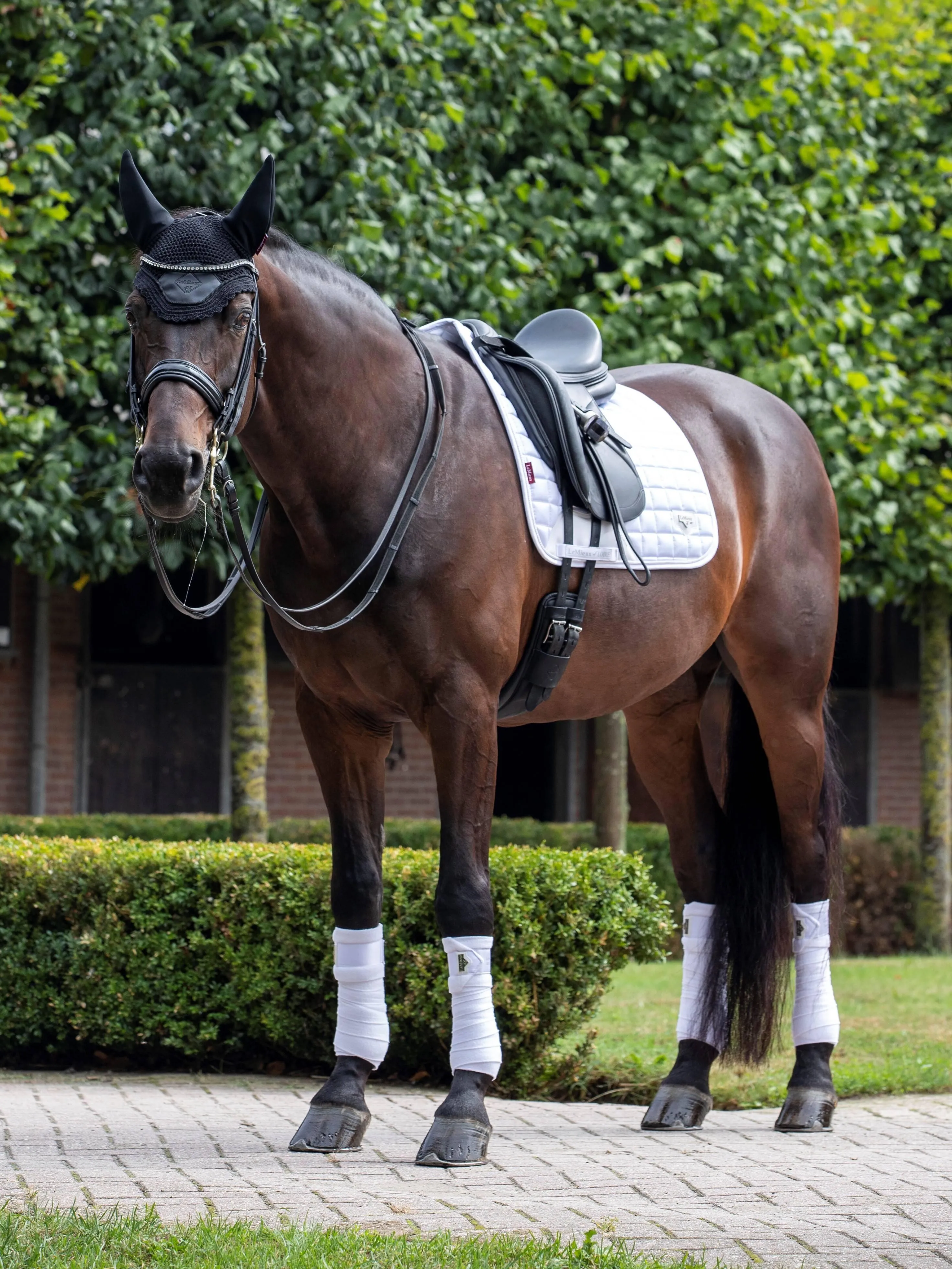 LeMieux Loire Classic Dressage Saddle Pad