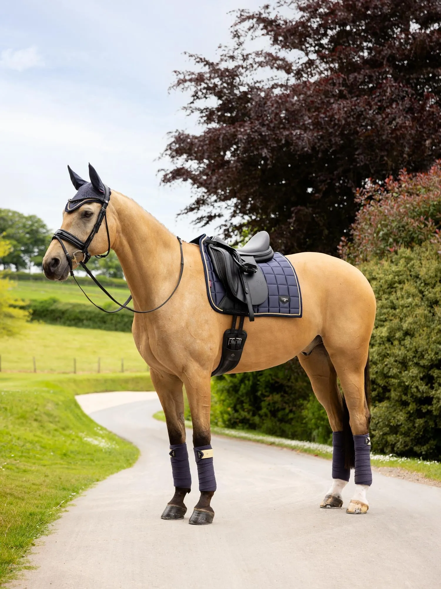LeMieux Loire Classic Dressage Saddle Pad