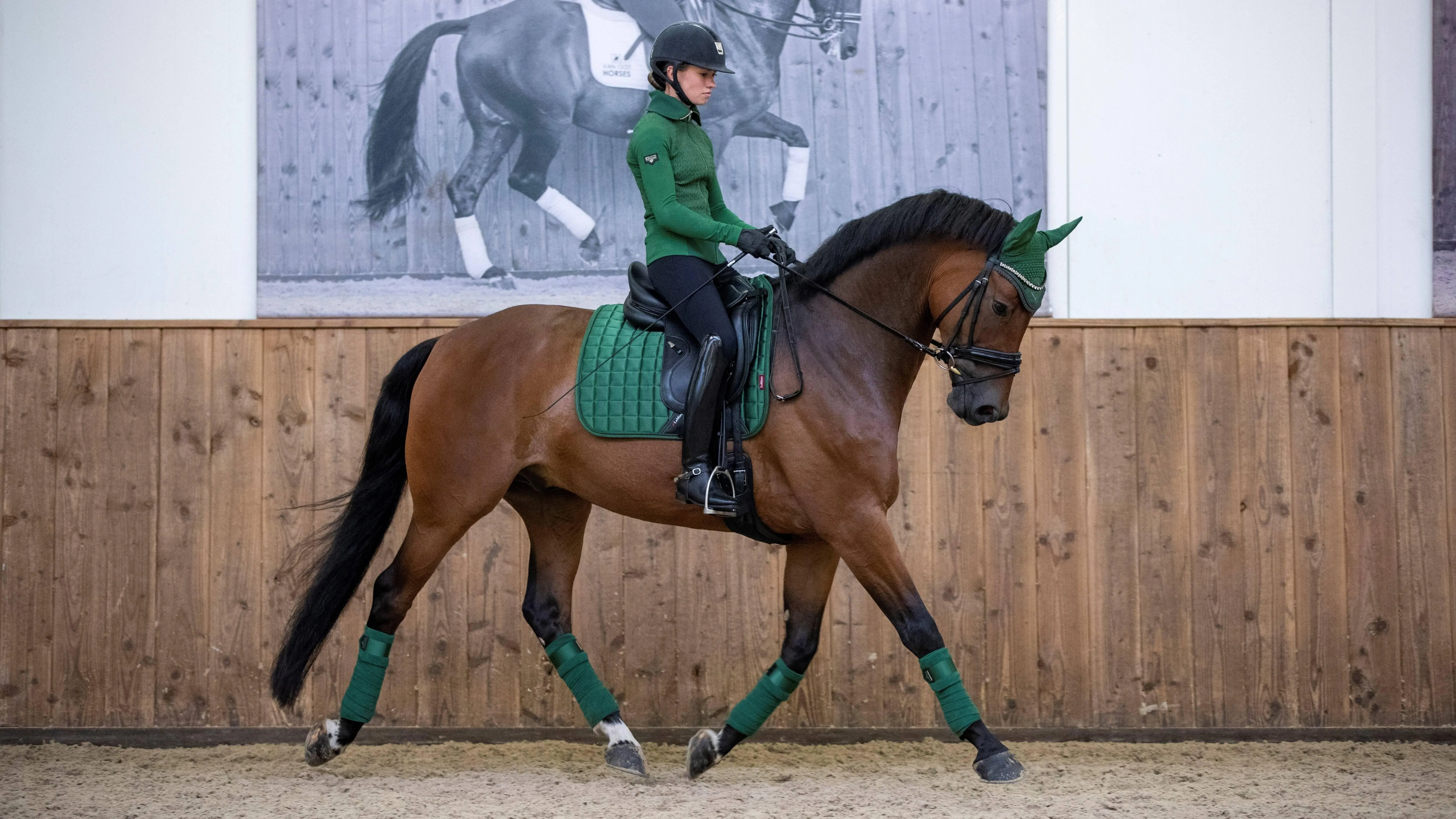LeMieux Loire Classic Dressage Saddle Pad