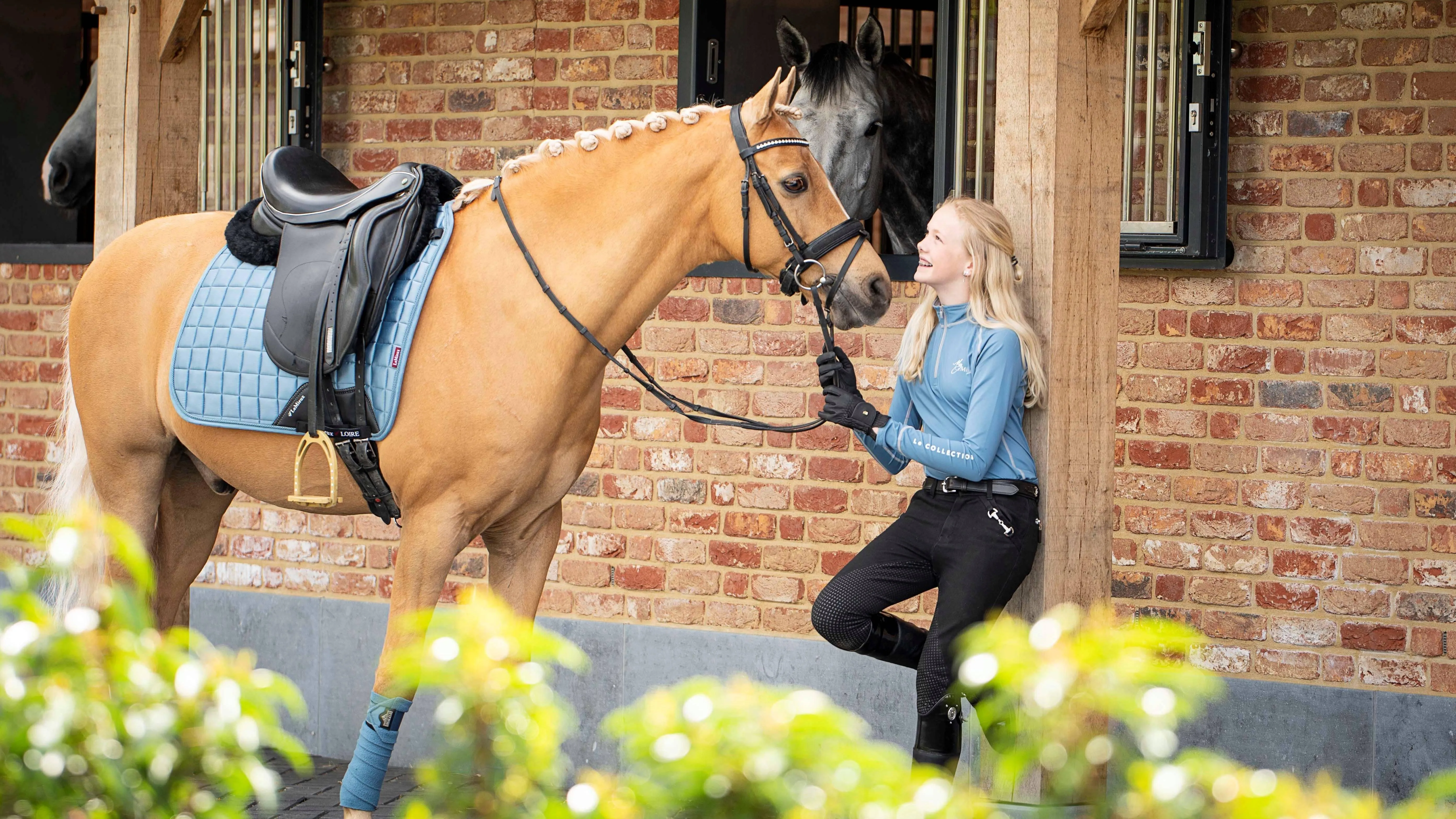 LeMieux Loire Classic Dressage Saddle Pad