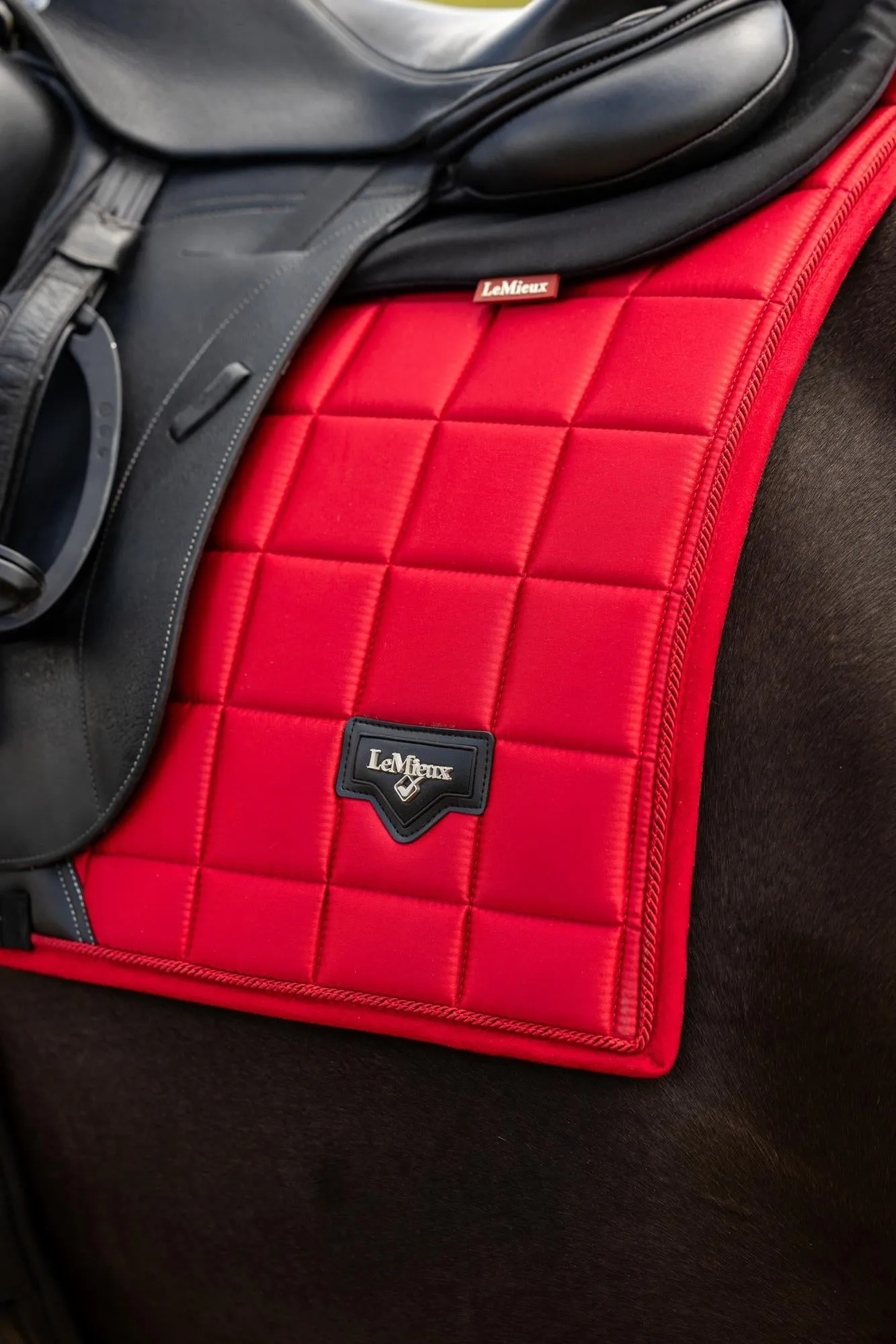 LeMieux Loire Classic Dressage Saddle Pad