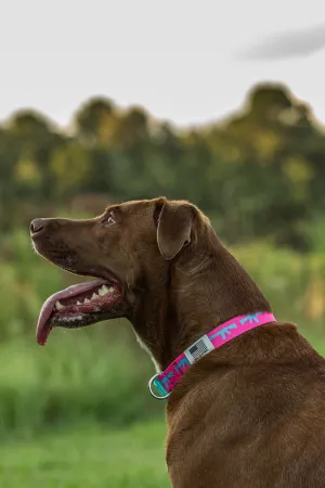 Nine Line Dog Collar Collection