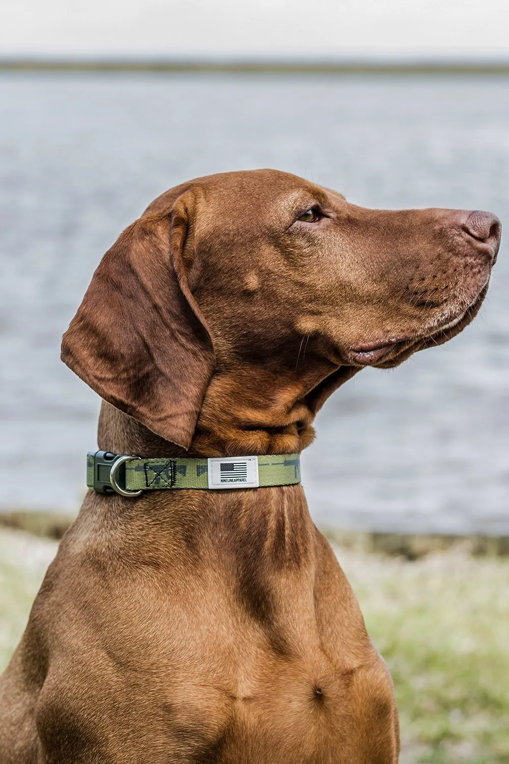 Nine Line Dog Collar Collection