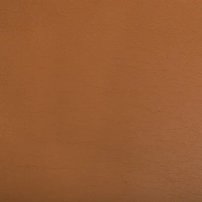 Optima-Clay