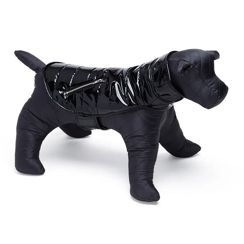 Pet Coat