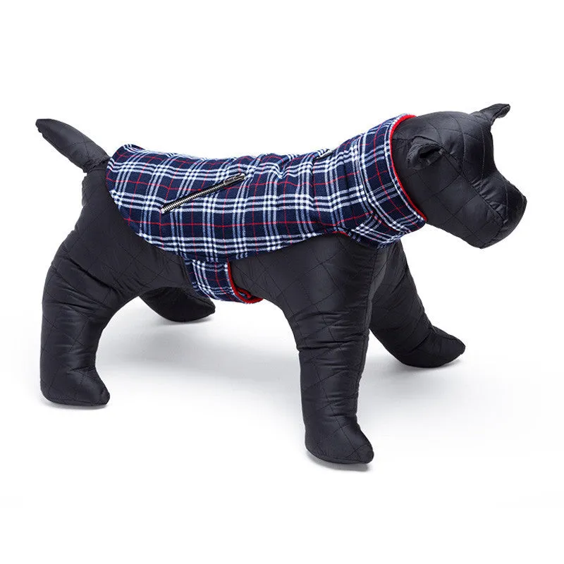 Pet Coat