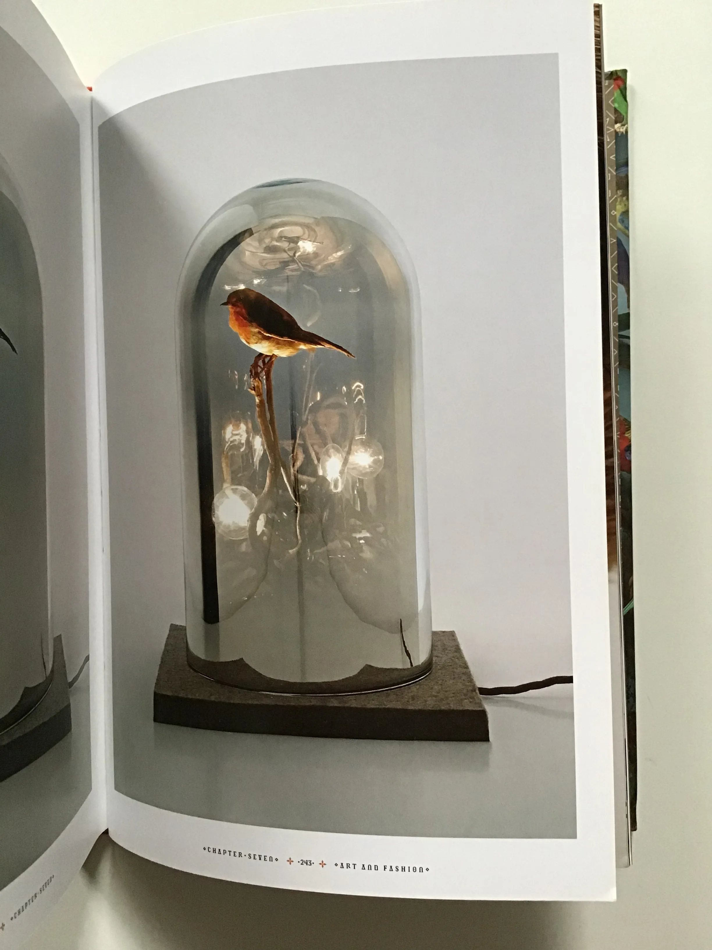 Taxidermy