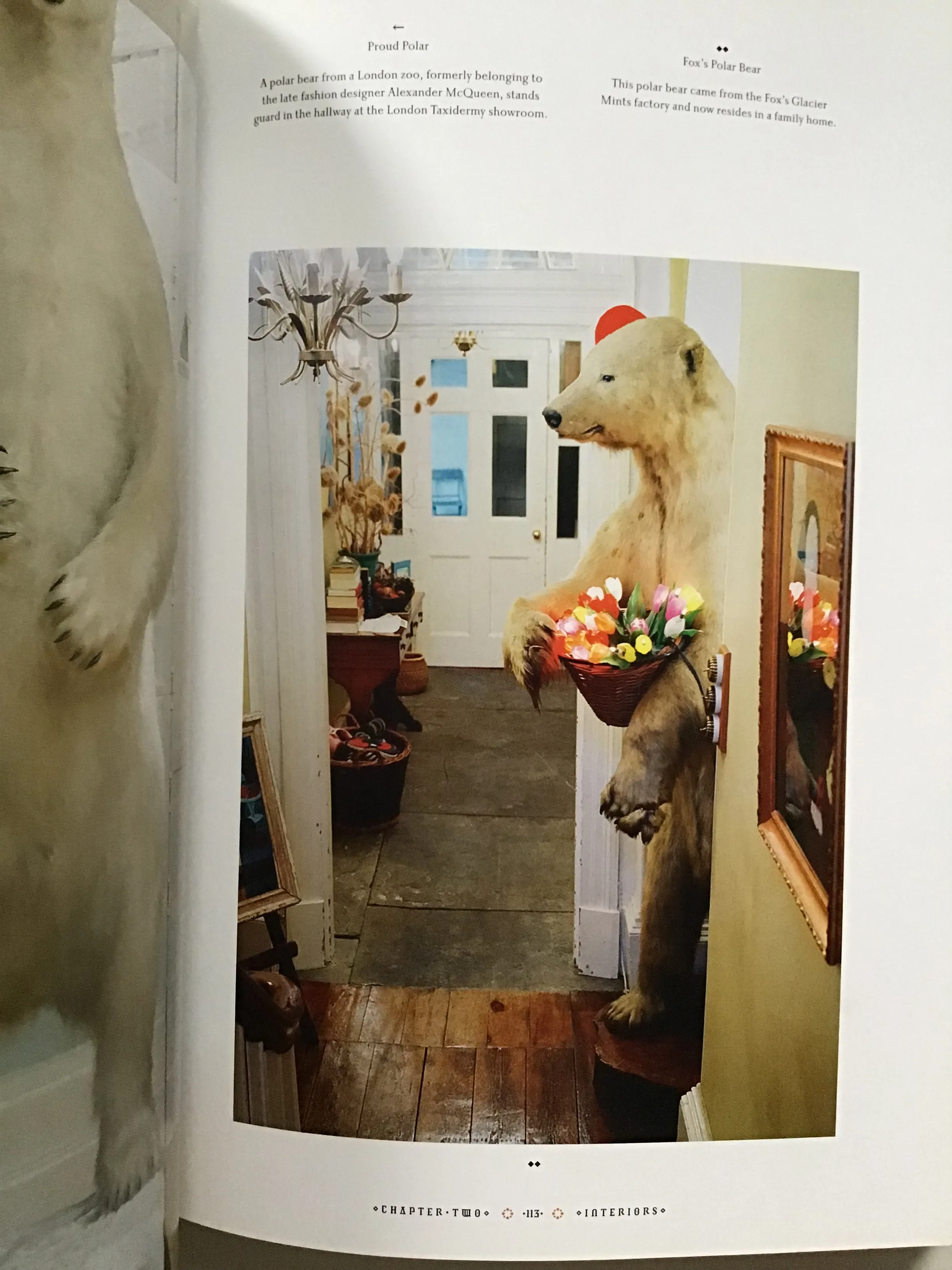 Taxidermy