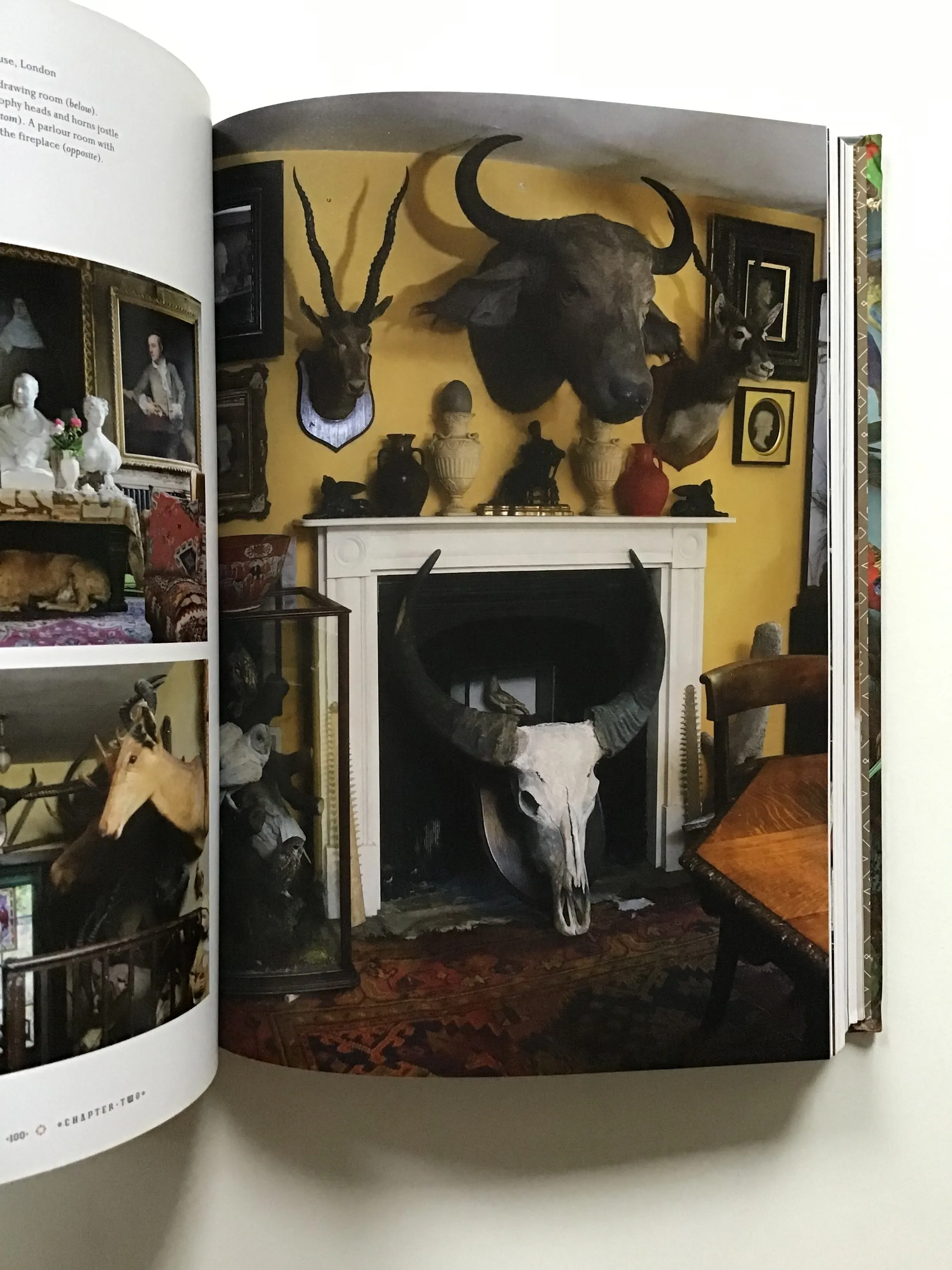 Taxidermy