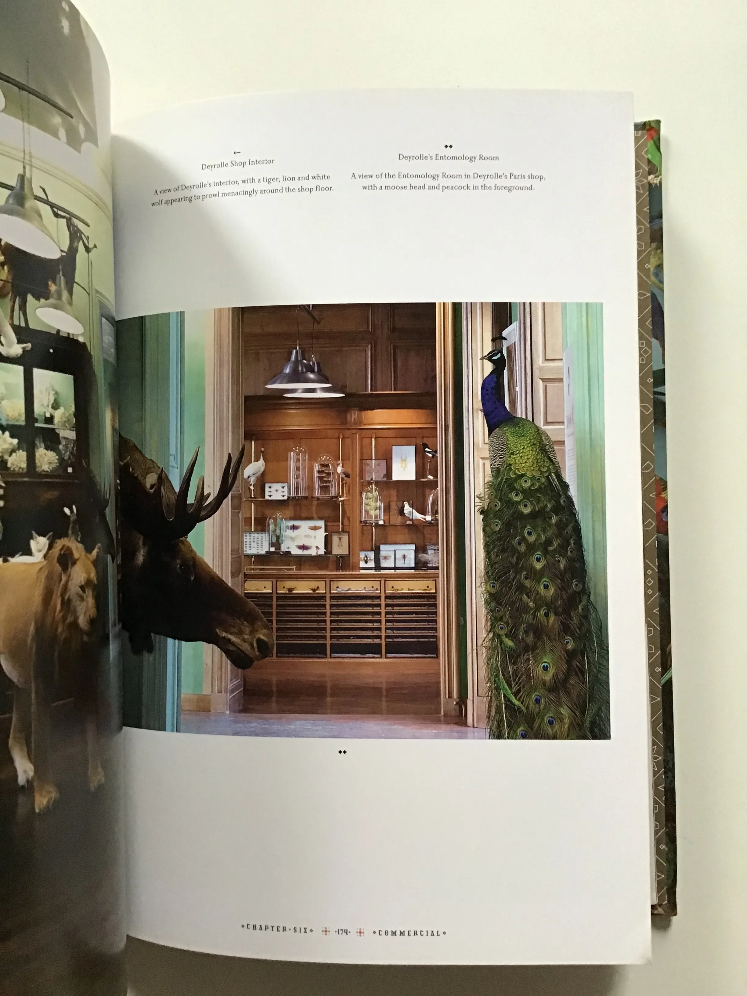 Taxidermy