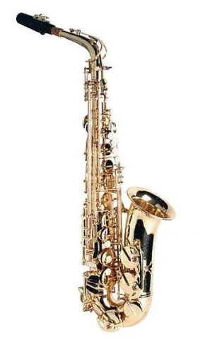 Unavailable - Sinclair Alto Saxophone Outfit